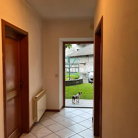 Apartma Danijela *